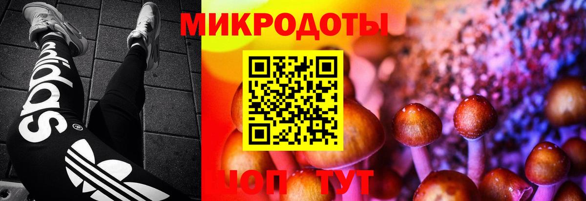 Галлюциногенные грибы прущие грибы Лабинск