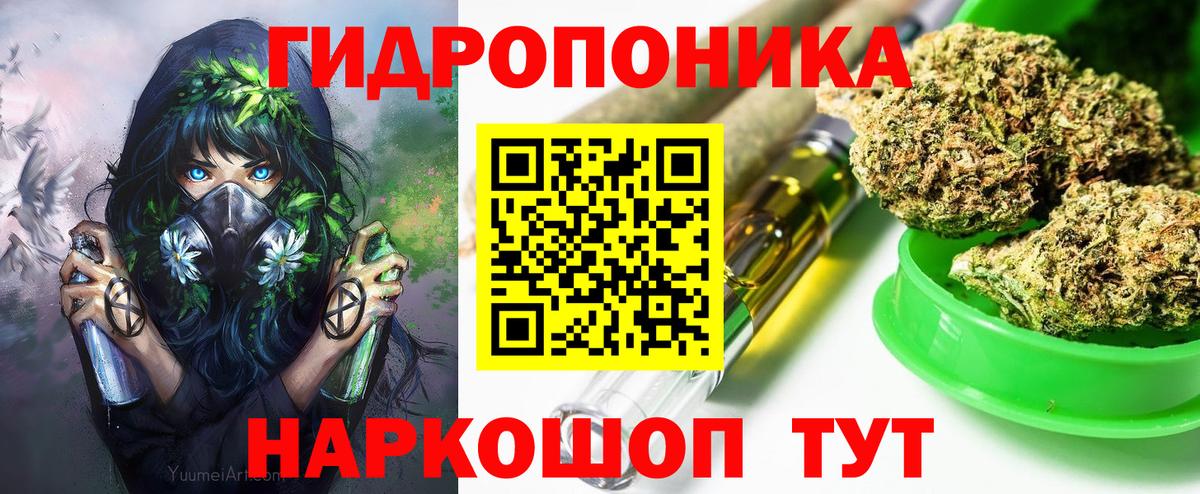 Бошки Шишки планчик  Вход с VPN  Шишки марихуана OG Kush  Лабинск  Марихуана план 
